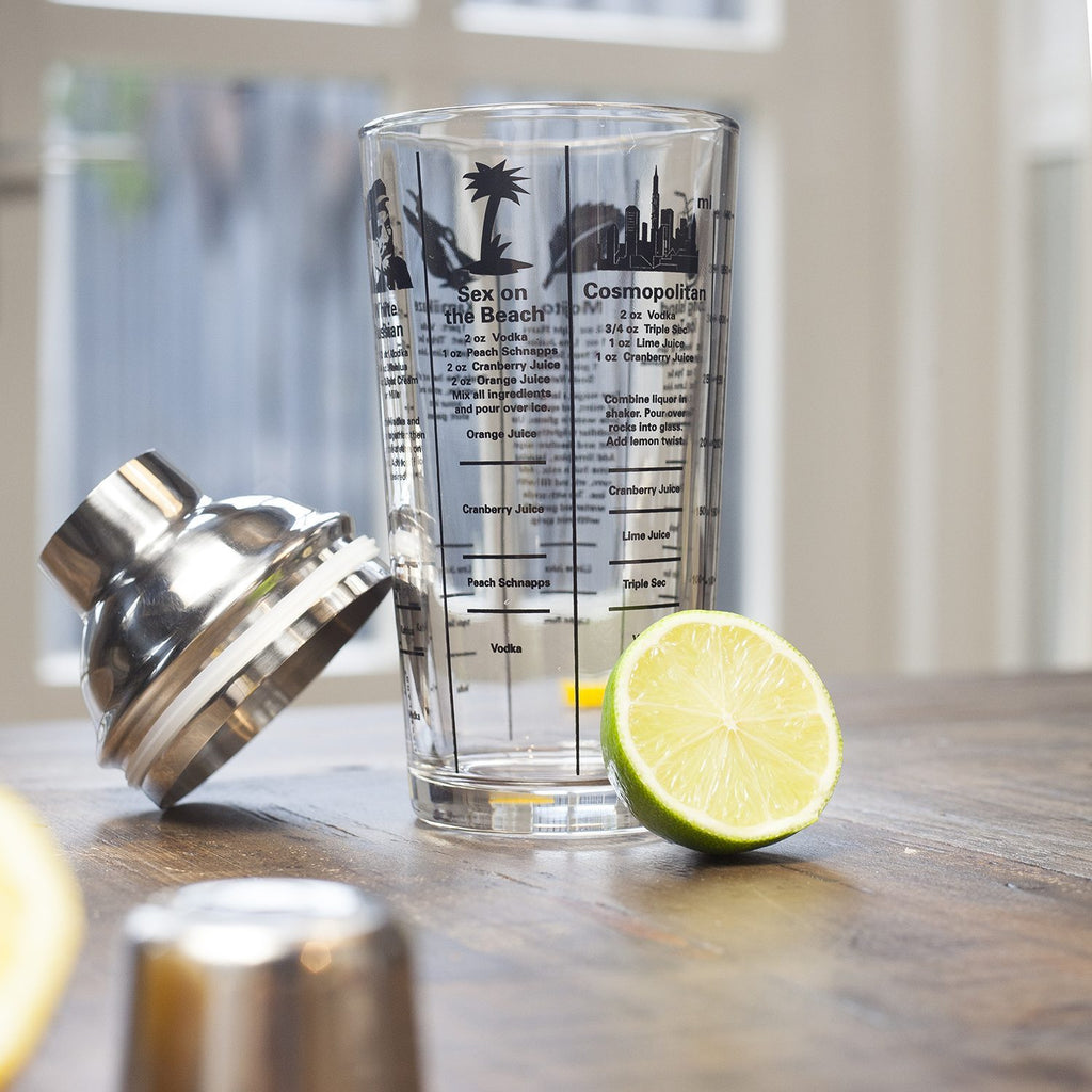 Premium Cocktail Gift Set - Bormioli Italian Glassware & Kikkerland Shaker